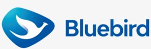 Buy Bluebird Account